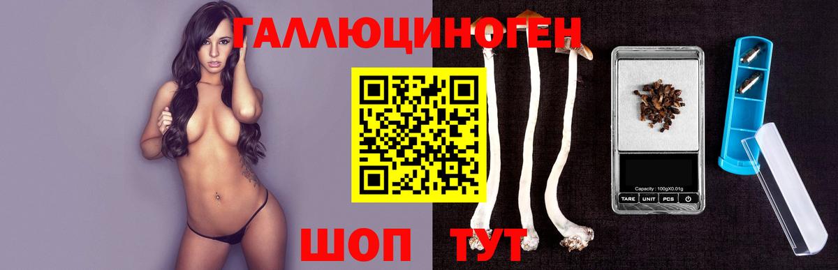 Псилоцибиновые грибы мухоморы Нарьян-Мар